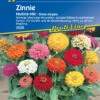Zinnie Musica | Zinniensamen Von Kiepenkerl