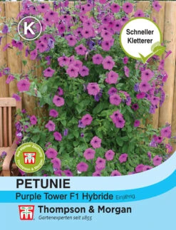 Petunie Purple Tower F1 Hybride | Petuniensamen Von Thompson &amp; Morgan