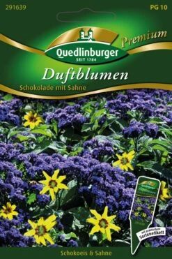 Duftblumen Schokolade Mit Sahne | Blumensamenmischung Von Quedlinburger