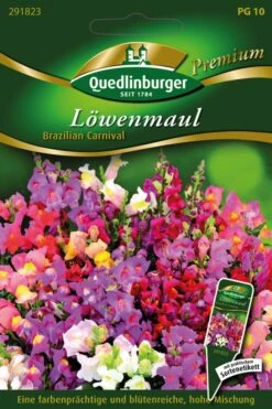 Löwenmaul Brazilian Carnival | Blumensamen Von Quedlinburger