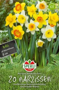 Großkronige Narzissen Mischung (20 Stück) | Narzissenzwiebeln Von Sperli
