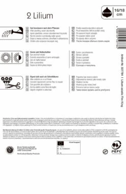 Lilie Fire King (2 Stück) | Lilienzwiebeln Von Kiepenkerl