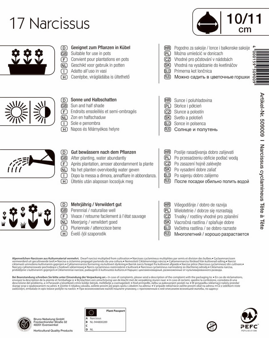 Mega-Pack Steingarten Narzisse Tête à Tête (17 Stück) | Narzissenzwiebeln Von Kiepenkerl 2 Mega-Pack Steingarten Narzisse Tête à Tête (17 Stück) | Narzissenzwiebeln Von Kiepenkerl – Bild 2