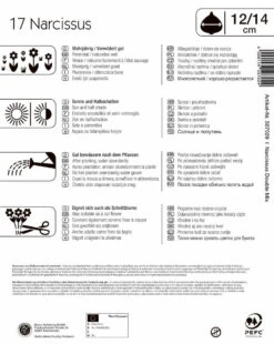 Mega-Pack Narzissen Gefüllte Mischung (17 Stück) | Narzissenzwiebeln Von Kiepenkerl