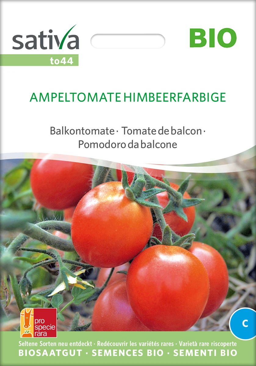 Balkontomate Ampeltomate Himbeerfarbige | BIO Buschtomatensamen Von Sativa Rheinau 2 Balkontomate Ampeltomate Himbeerfarbige | BIO Buschtomatensamen Von Sativa Rheinau – Bild 2