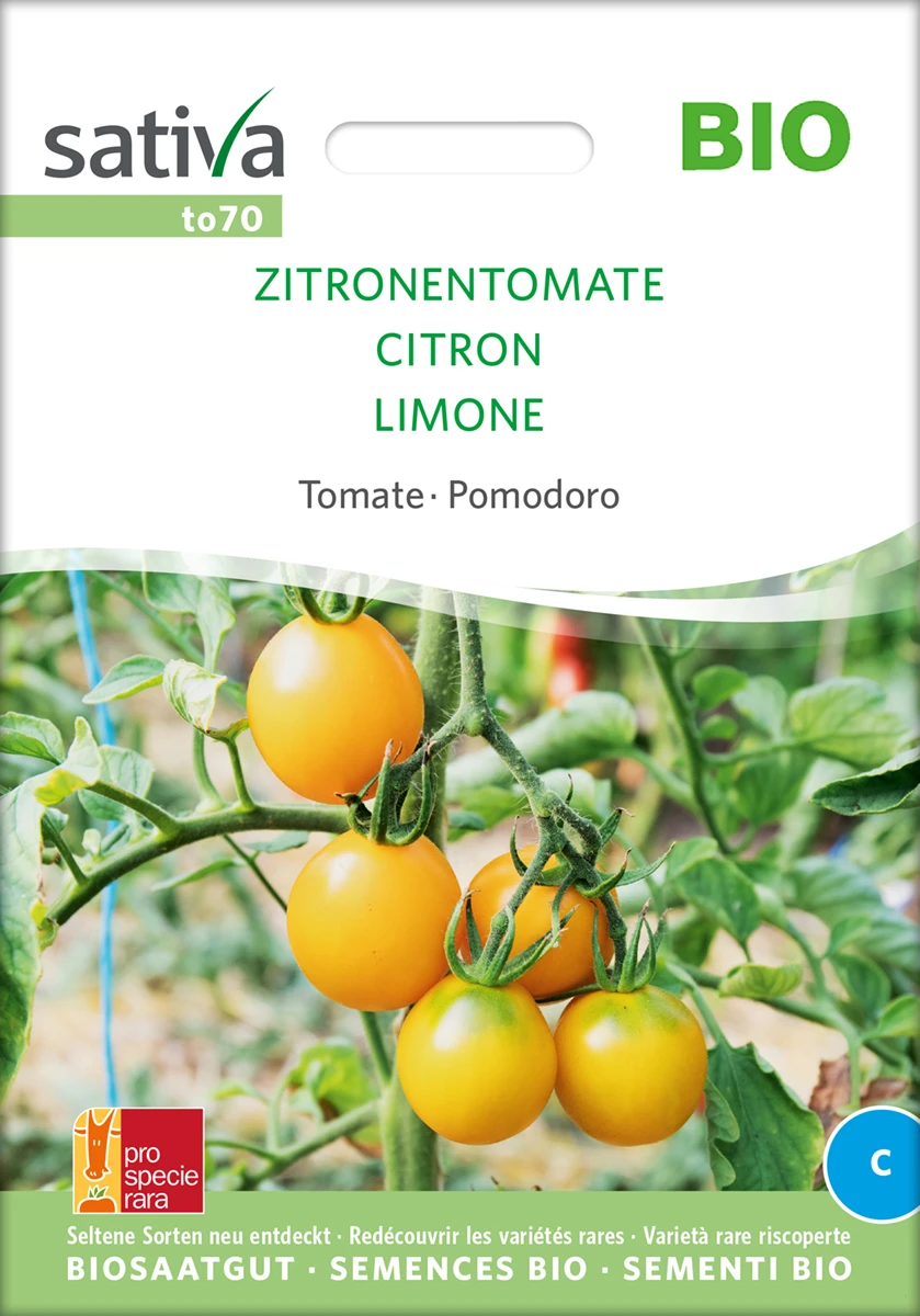 Tomate Zitronentomate | BIO Tomatensamen Von Sativa Rheinau 2 Tomate Zitronentomate | BIO Tomatensamen Von Sativa Rheinau – Bild 2