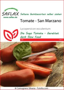 Tomate San Marzano | San Marzano Tomatensamen Von Saflax