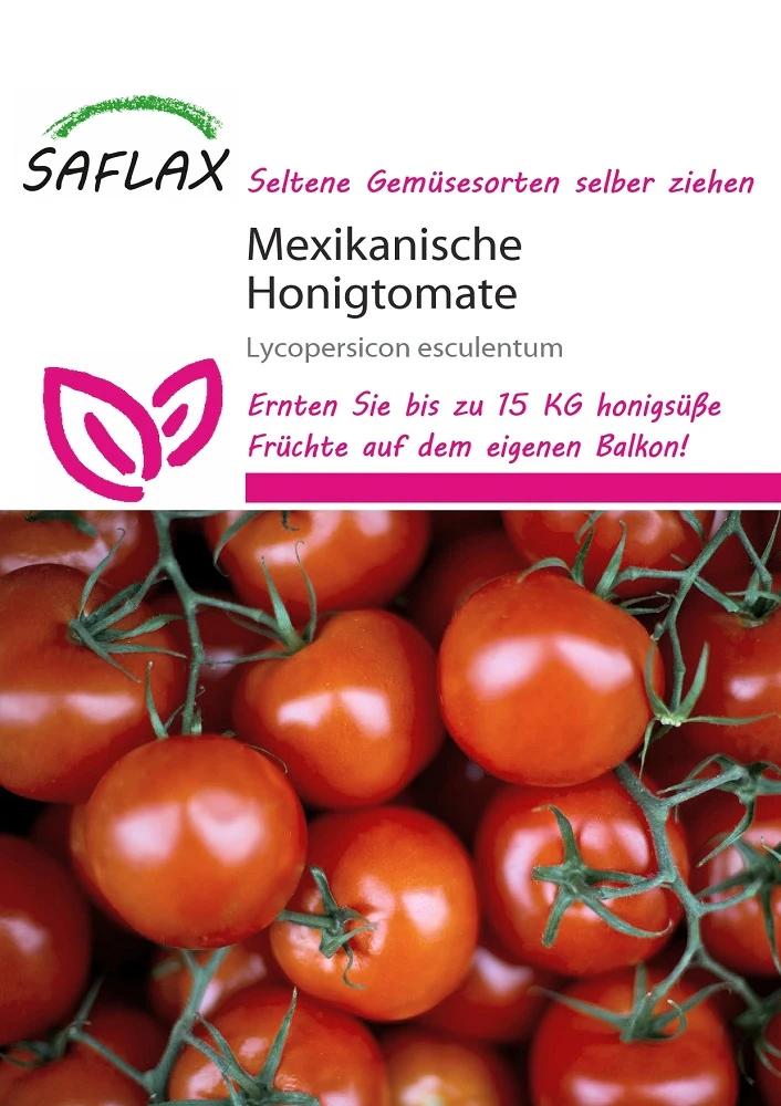 Mexikanische Honigtomate | Honigtomatensamen Von Saflax 1 Mexikanische Honigtomate | Honigtomatensamen Von Saflax