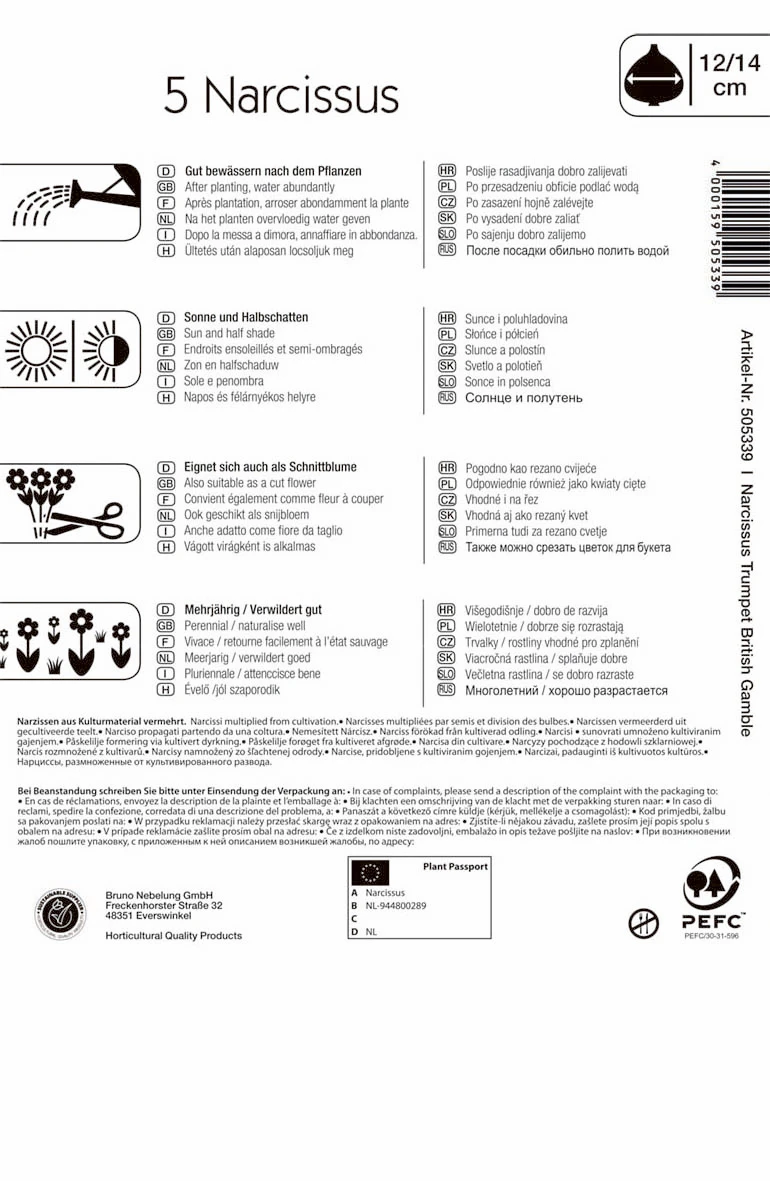 Narzisse British Gamble (5 Stück) | Narzissenzwiebeln Von Kiepenkerl 1 Narzisse British Gamble (5 Stück) | Narzissenzwiebeln Von Kiepenkerl