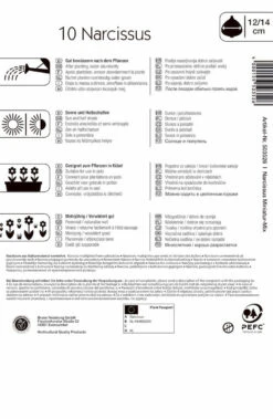 Narzisse Miniatur-Mischung (10 Stück) | Narzissenzwiebeln Von Kiepenkerl