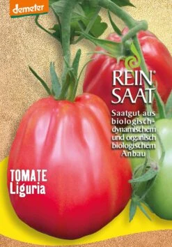 Tomate Liguria | BIO Fleischtomatensamen Von Reinsaat