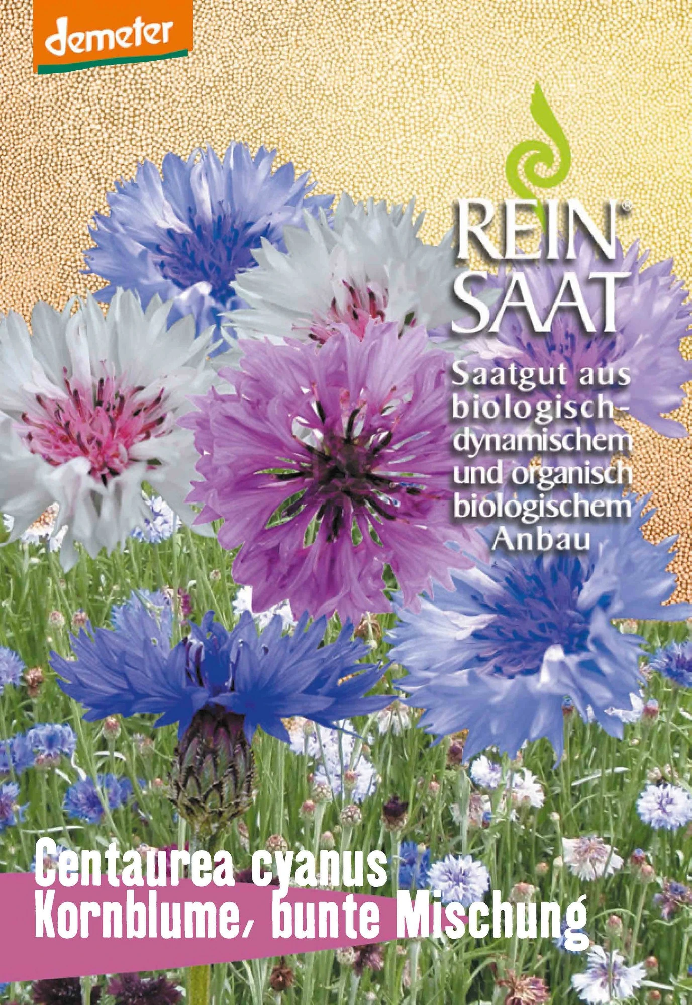 Kornblume Bunte Mischung | BIO Kornblumensamen Von Reinsaat 1 Kornblume Bunte Mischung | BIO Kornblumensamen Von Reinsaat