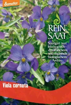 Hornveilchen | BIO Hornveilchensamen Von Reinsaat