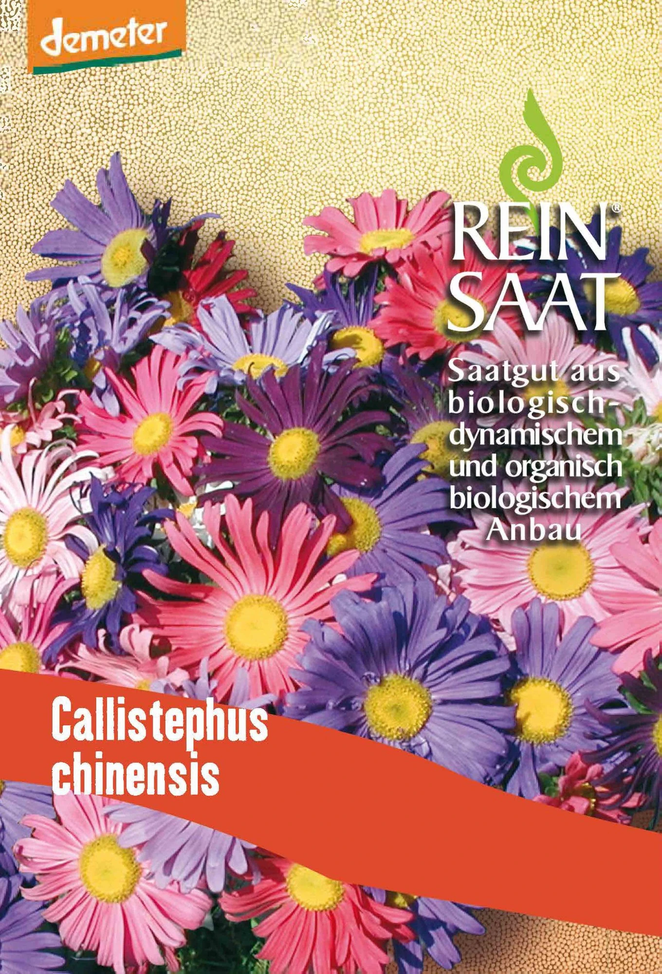 Sommeraster | BIO Asternsamen Von Reinsaat 1 Sommeraster | BIO Asternsamen Von Reinsaat