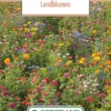 Blumenwiese Feldblumenmischung (100 G) | Blumensamen Von Bertrand