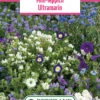 Blumenwiese Mini-Teppich Ultramarin (100 G) | Blumensamen Von Bertrand