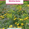 Blumenwiese "Die Essbaren Blumen" (100 G) | Blumensamen Von Bertrand