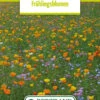 Blumenwiese Frühlingsblumen (100 G) | Blumensamen Von Bertrand