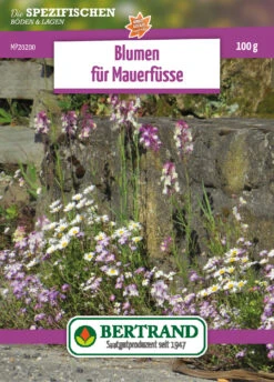 Blumenwiese Mauerfuß (100 G) | Blumensamen Von Bertrand