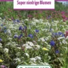 Blumenwiese Zwergenmischung (100 G) | Blumensamen Von Bertrand