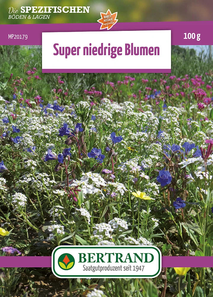 Blumenwiese Zwergenmischung (100 G) | Blumensamen Von Bertrand 1 Blumenwiese Zwergenmischung (100 G) | Blumensamen Von Bertrand