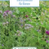 Blumenwiese Honigblumenwiese OFA Einjährig (100 G) | Blumensamen Von Bertrand