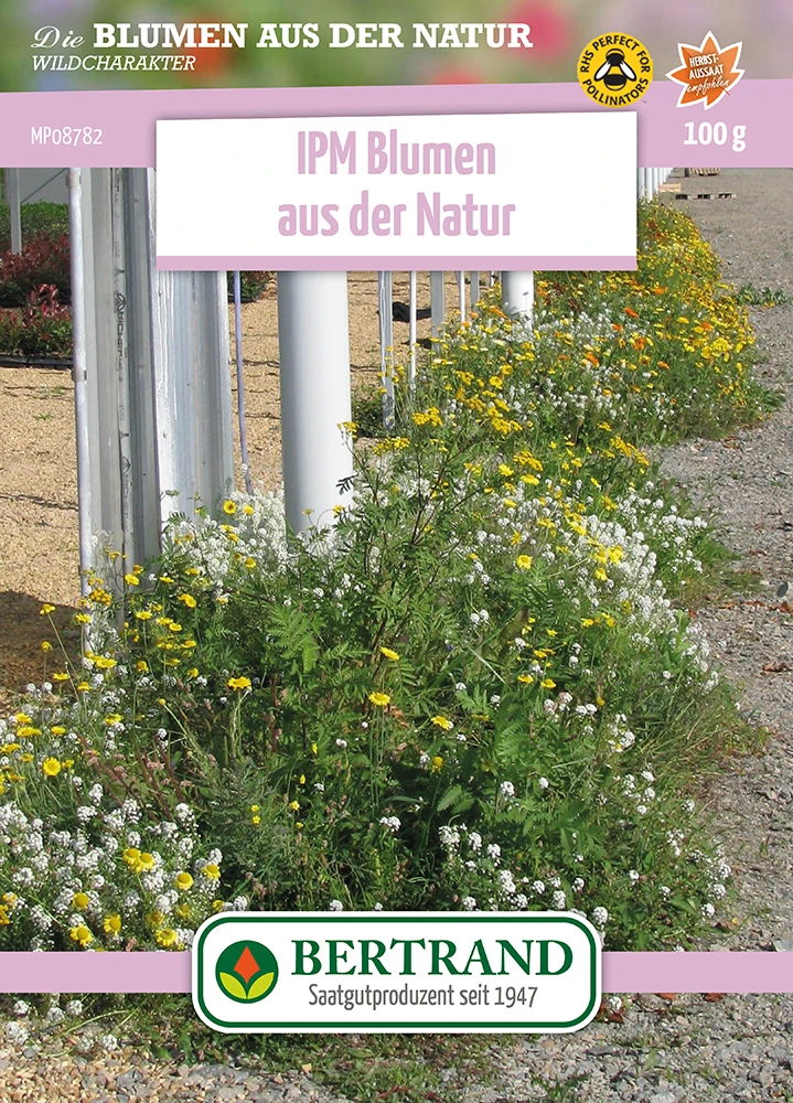Blumenwiese IPM Wildblumenmischung (100 G) | Blumensamen Von Bertrand 1 Blumenwiese IPM Wildblumenmischung (100 G) | Blumensamen Von Bertrand