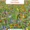 Blumenwiese Brachland Hohe Blumen (100 G) | Blumensamen Von Bertrand