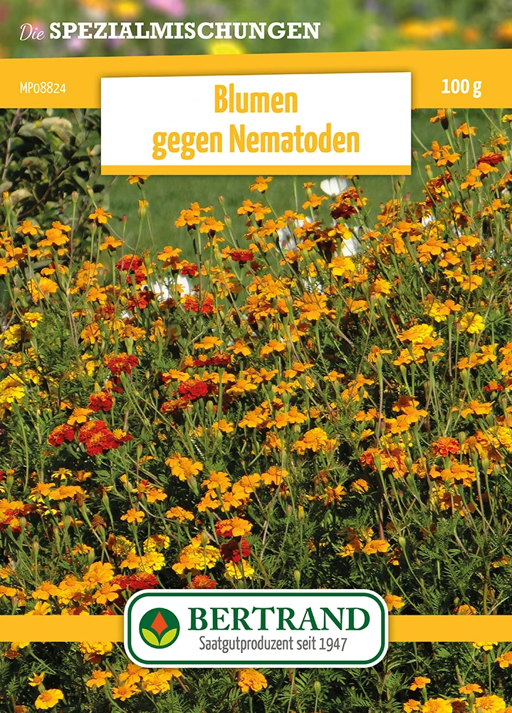 Blumenwiese Blumen Gegen Nematoden (100 G) | Blumensamen Von Bertrand 1 Blumenwiese Blumen Gegen Nematoden (100 G) | Blumensamen Von Bertrand