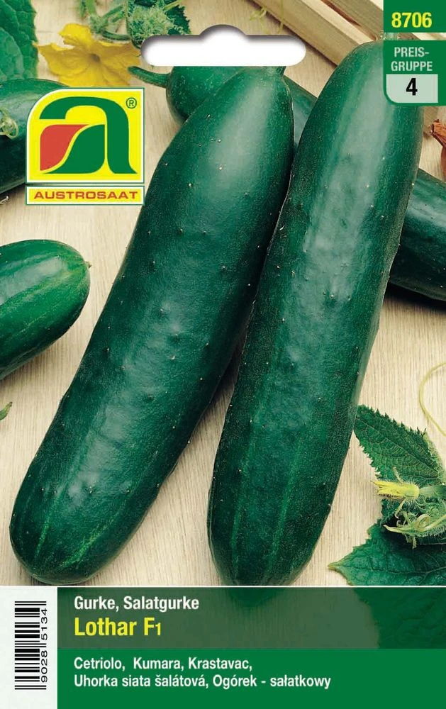 Gurke Lothar F1 | Gurkensamen Von Austrosaat 1 Gurke Lothar F1 | Gurkensamen Von Austrosaat