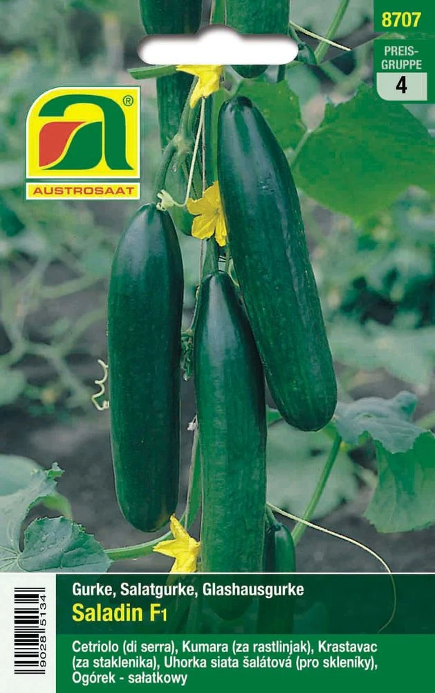 Salatgurke Saladin F1 | Glashausgurkensamen Von Austrosaat 2 Salatgurke Saladin F1 | Glashausgurkensamen Von Austrosaat – Bild 2