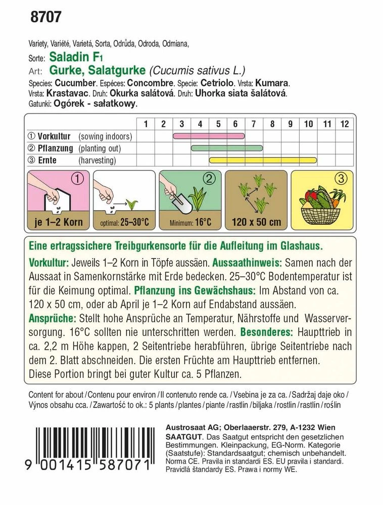 Salatgurke Saladin F1 | Glashausgurkensamen Von Austrosaat 1 Salatgurke Saladin F1 | Glashausgurkensamen Von Austrosaat