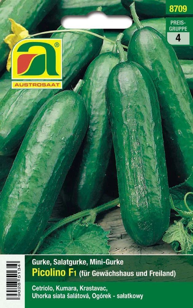 Minigurke Picolino F1 | Minigurkensamen Von Austrosaat 1 Minigurke Picolino F1 | Minigurkensamen Von Austrosaat