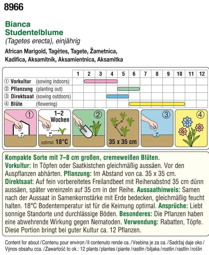 Studentenblume Bianca F1 | Studentenblumensamen Von Austrosaat 2 Studentenblume Bianca F1 | Studentenblumensamen Von Austrosaat – Bild 2