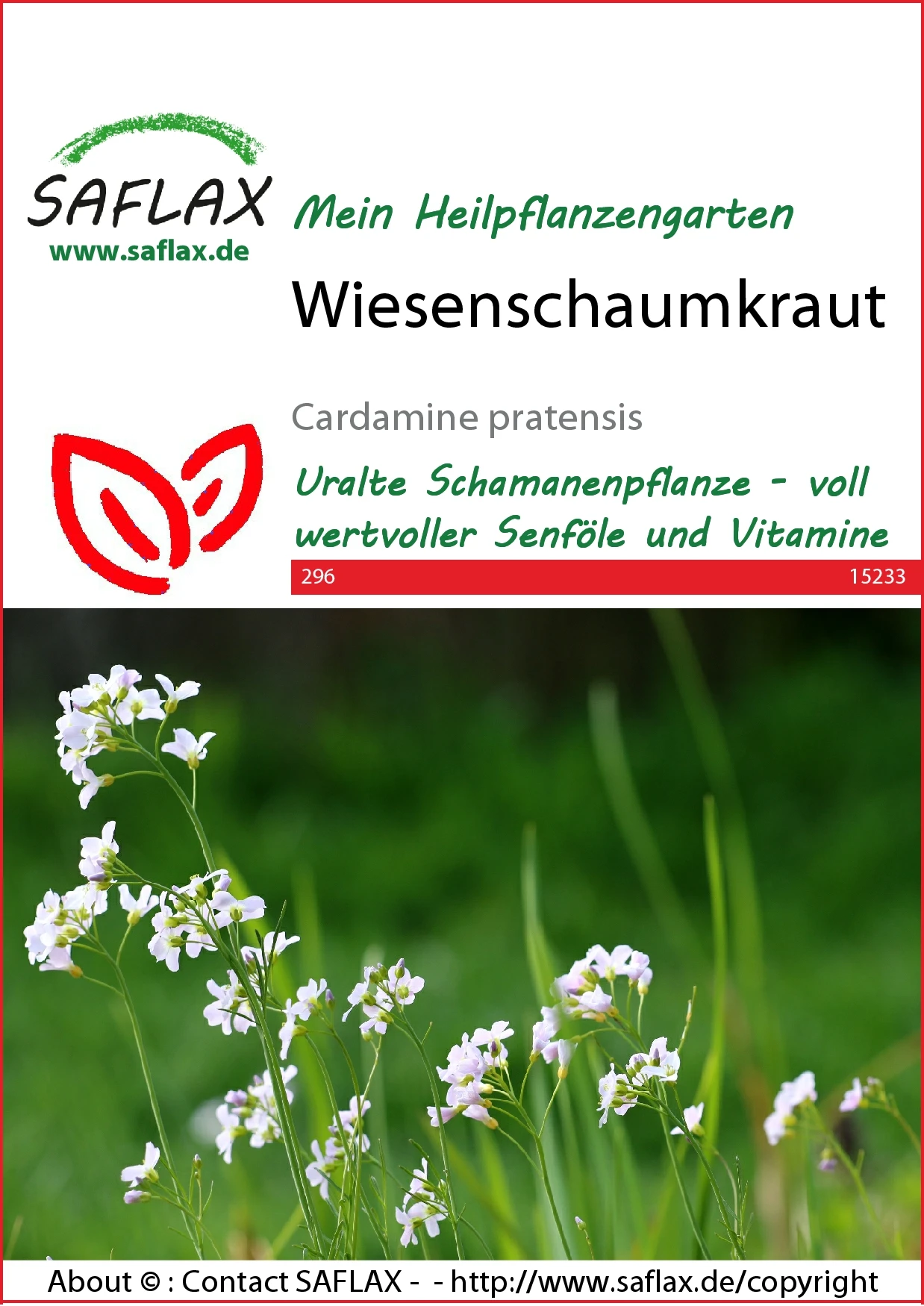 Wiesenschaumkraut | Wildblumensamen Von Saflax 1 Wiesenschaumkraut | Wildblumensamen Von Saflax