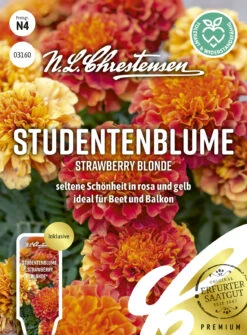 Studentenblume Strawberry Blonde | Studentenblumensamen Von N.L. Chrestensen -Angebote Samenhaus Store 543879 Studentenblume Strawberry Blonde