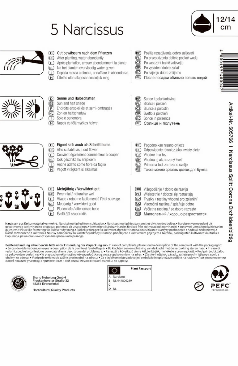 Narzissenmischung Orchideenblütige Mischung (5 Stück) | Narzissenzwiebeln Von Kiepenkerl 2 Narzissenmischung Orchideenblütige Mischung (5 Stück) | Narzissenzwiebeln Von Kiepenkerl – Bild 2