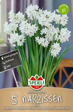 Narzisse Ziva (5 Stück) | Narzissenzwiebeln Von Sperli