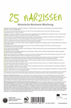Narzissen Mix (25 Stück) | Narzissenzwiebeln Von Sperli
