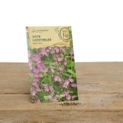 Wildblumen Set Stay Wild | BIO Wildblumensamen Von Samen Maier -Angebote Samenhaus Store 549603 BIO Wildblumen Set Stay Wild A02 sm 1