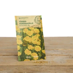 Wildblumen Set Stay Wild | BIO Wildblumensamen Von Samen Maier -Angebote Samenhaus Store 549603 BIO Wildblumen Set Stay Wild A02 sm 2