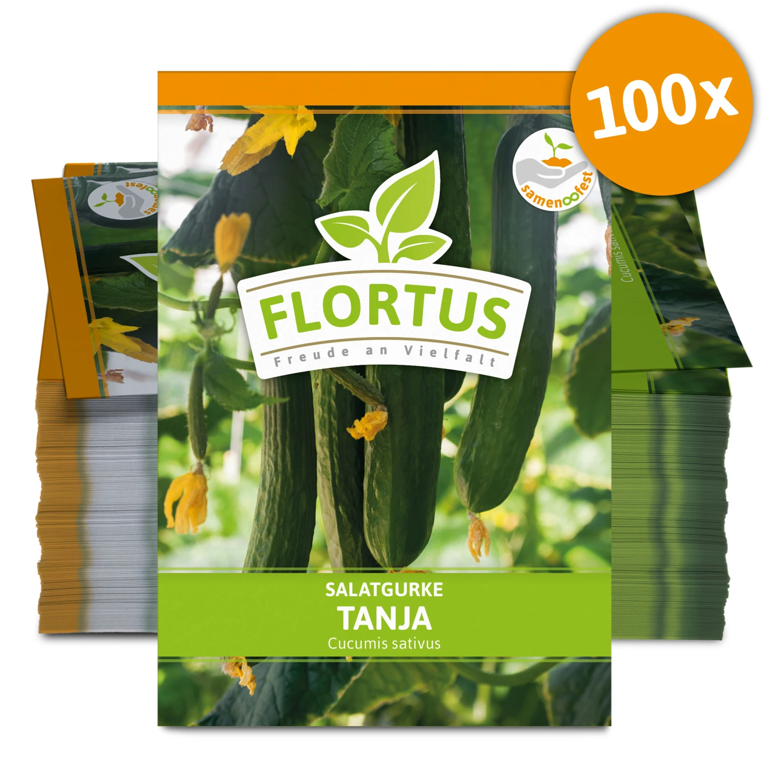 Salatgurke Tanja (100 Stück) | Salatgurkensamen Von FLORTUS 2 Salatgurke Tanja (100 Stück) | Salatgurkensamen Von FLORTUS – Bild 2