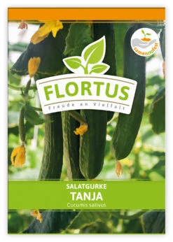Salatgurke Tanja (100 Stück) | Salatgurkensamen Von FLORTUS 5 Salatgurke Tanja (100 Stück) | Salatgurkensamen Von FLORTUS -Angebote Samenhaus Store 549862 Salatgurke Tanja 100 Stueck 2000 0479 100x 1