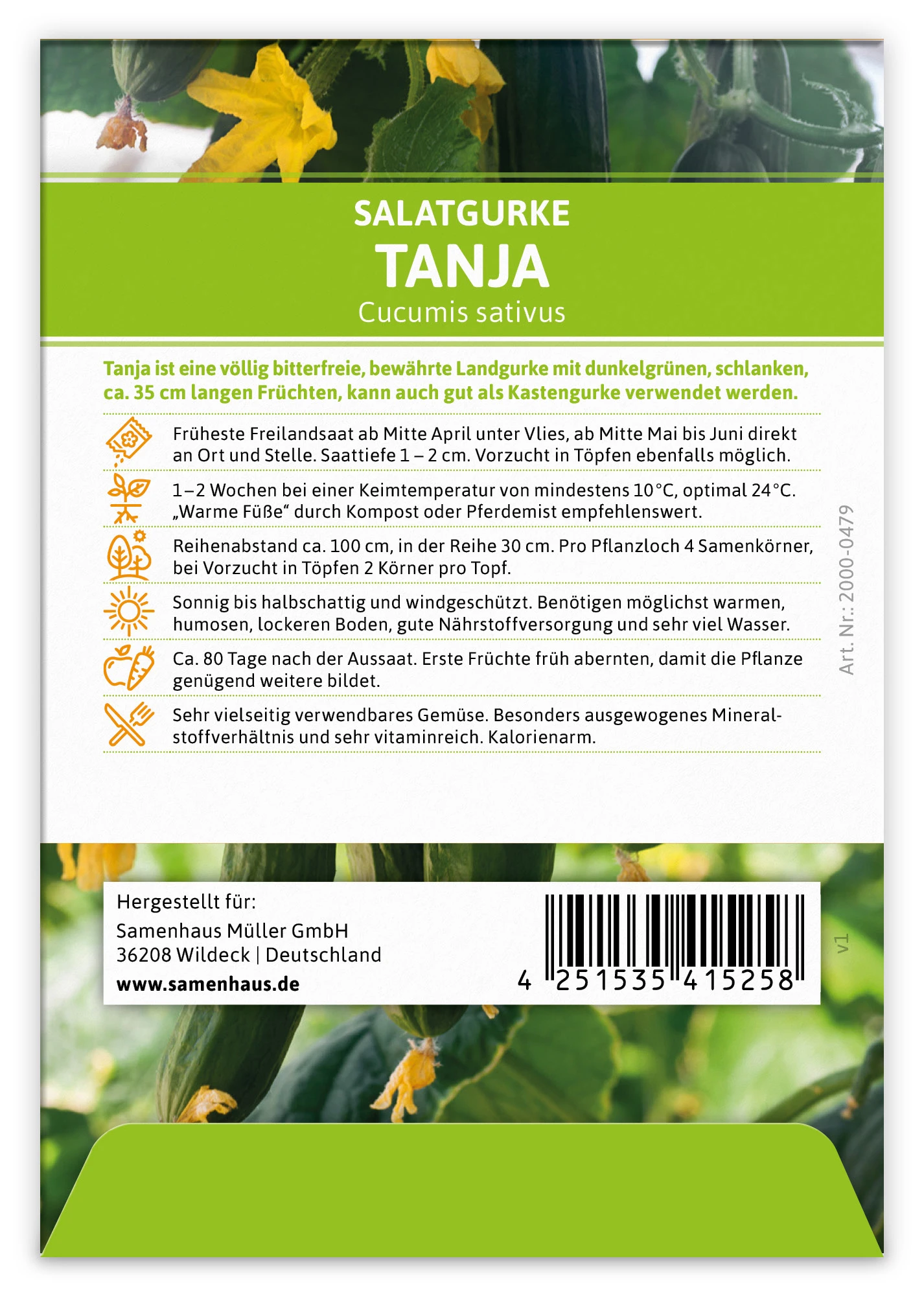 Salatgurke Tanja (100 Stück) | Salatgurkensamen Von FLORTUS 1 Salatgurke Tanja (100 Stück) | Salatgurkensamen Von FLORTUS