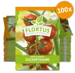 Ausgewählte Produkte 11 Kirschtomate Zuckertraube (100 Stück) | Kirschtomatensamen Von FLORTUS
