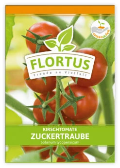 Kirschtomate Zuckertraube (100 Stück) | Kirschtomatensamen Von FLORTUS 5 Kirschtomate Zuckertraube (100 Stück) | Kirschtomatensamen Von FLORTUS -Angebote Samenhaus Store 549864 Kirschtomate Zuckertraube 100 Stueck 2000 0481 100x 1