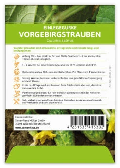 Einlegegurke Vorgebirgstrauben (100 Stück) | Einlegegurkensamen Von FLORTUS 5 Einlegegurke Vorgebirgstrauben (100 Stück) | Einlegegurkensamen Von FLORTUS -Angebote Samenhaus Store 549867 Einlegegurke Vorgebirgstrauben 100 Stueck 2000 0484 100x 2