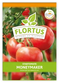 Tomate Moneymaker (100 Stück) | Tomatensamen Von FLORTUS -Angebote Samenhaus Store 549868 Tomate Moneymaker 100 Stueck 2000 0485 100x 1