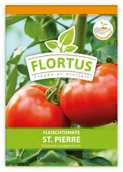 Fleischtomate St. Pierre (100 Stück) | Fleischtomatensamen Von FLORTUS -Angebote Samenhaus Store 549879 Fleischtomate St Pierre 100 Stueck 2000 0496 100x 1