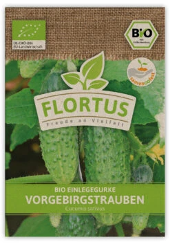 Einlegegurke Vorgebirgstrauben (100 Stück) | BIO Gurkensamen Von FLORTUS